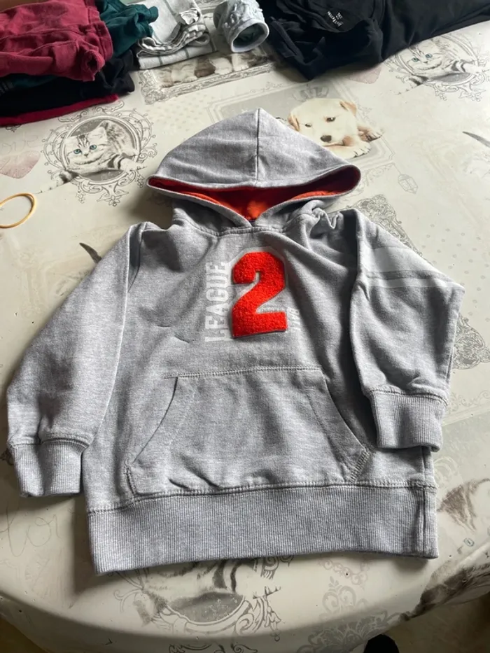 Sweat-shirt à capuche garçon 3 ans