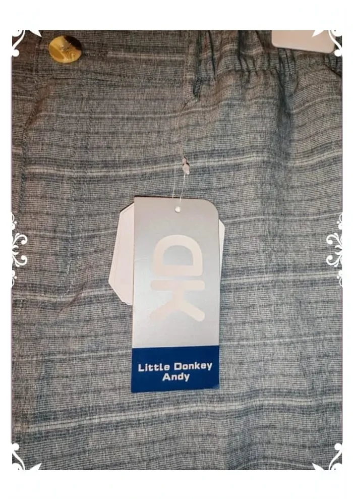 Short little donkey Andy - photo numéro 5