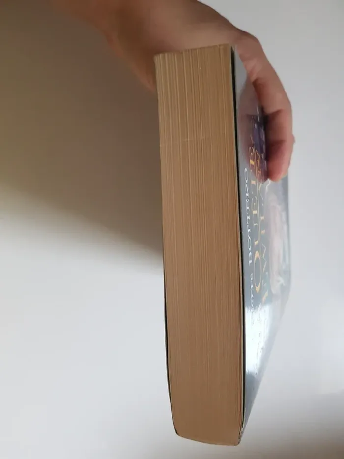 Pierre Bottero (Écrivain)  La Quête d'Ewilan, Tome 1 : D'un monde à l'autre - photo numéro 8