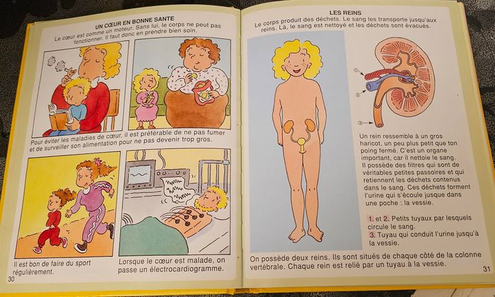 livre pour enfant L’imagerie du corps humain - photo numéro 5
