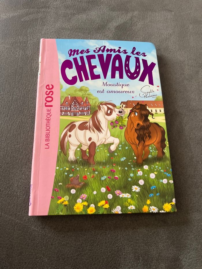 Livre bibliothèque rose mes amis les chevaux tome 16 - photo numéro 1