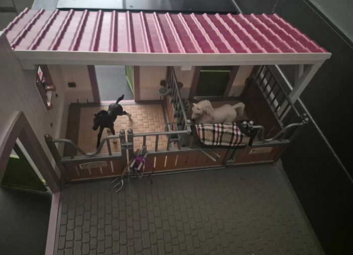 Schleich 42344 horse club - photo numéro 7