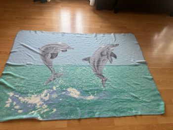 Plaid dauphins