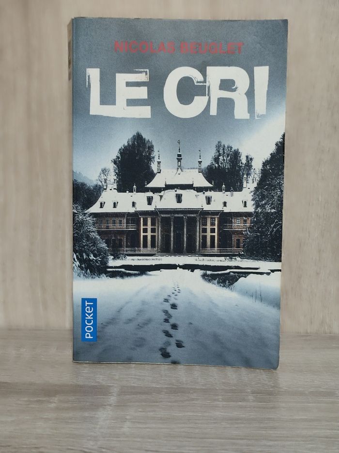 Livre Le Cri de Nicolas Beuglet - photo numéro 1