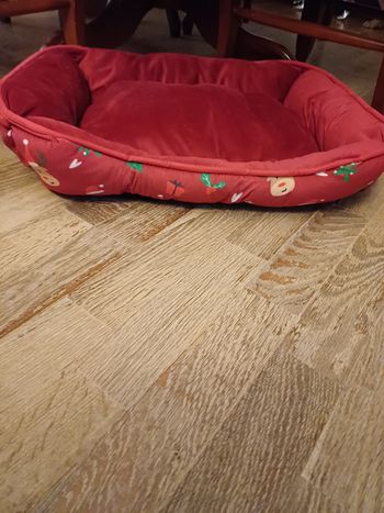 Panier chien thème Noël