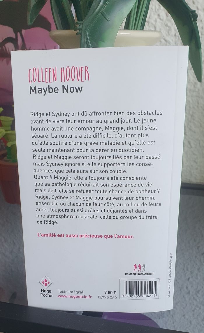 Livre "Maybe Now" de Colleen Hoover - photo numéro 2