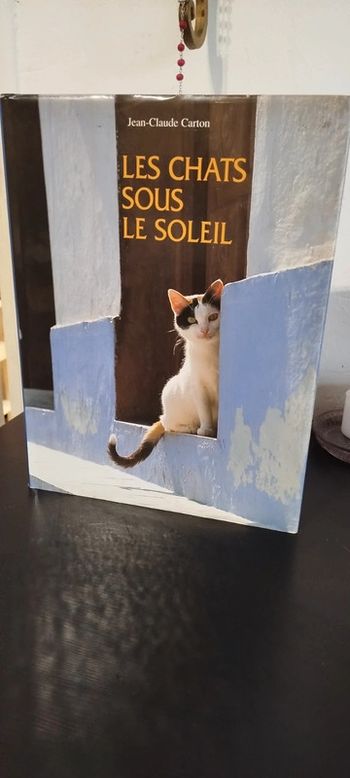Les chats sous le soleil