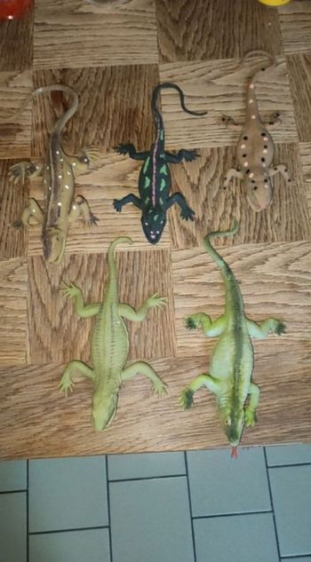 lézards en plastique