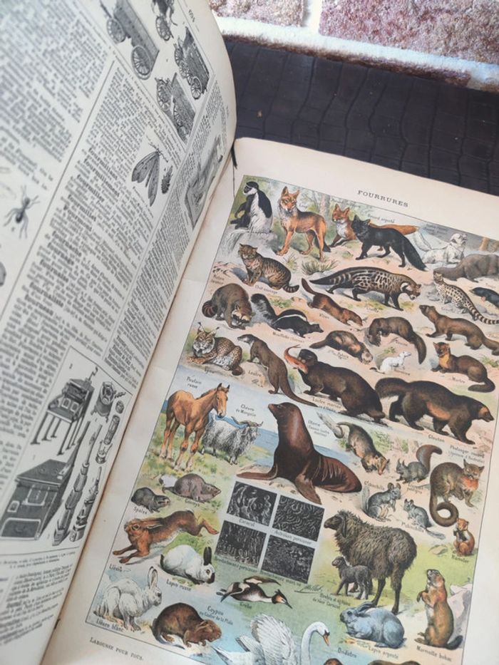 Encyclopédie Larousse illustré - Livre ancien - photo numéro 9
