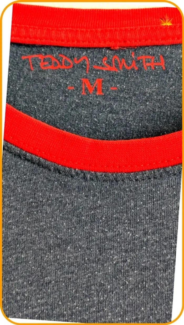 T-shirt homme Teddy Smith M - photo numéro 6