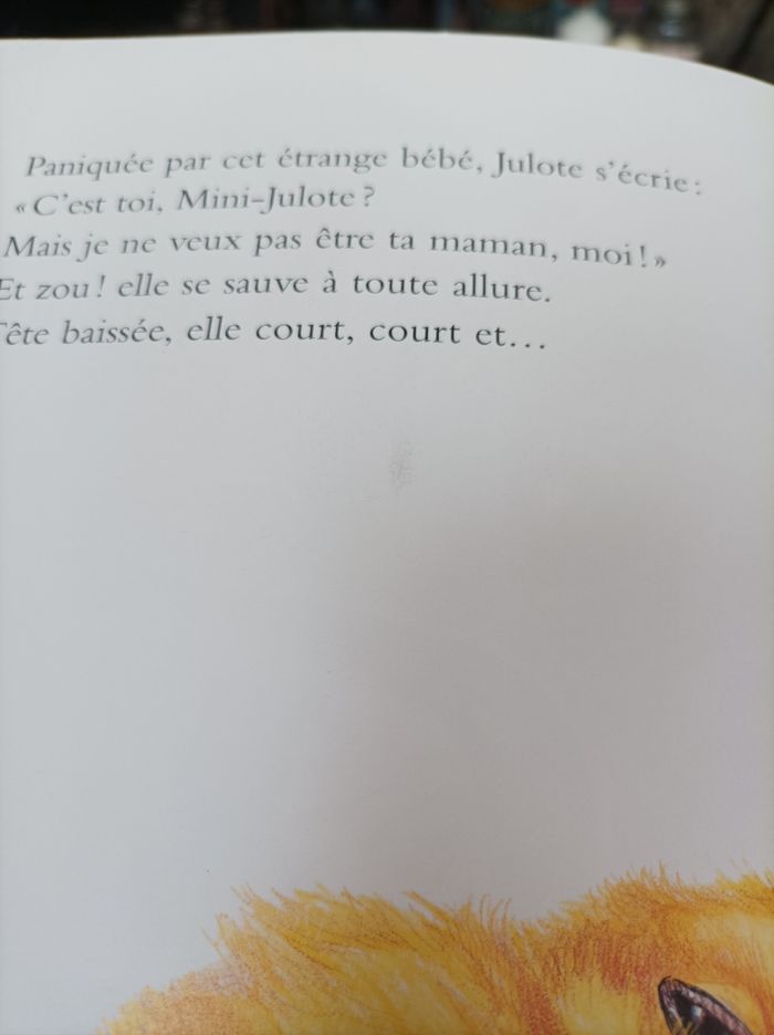 Livre - photo numéro 4