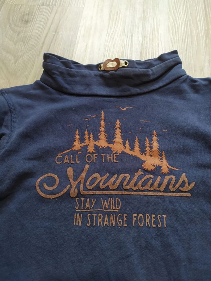 sweat 2 ans - photo numéro 2