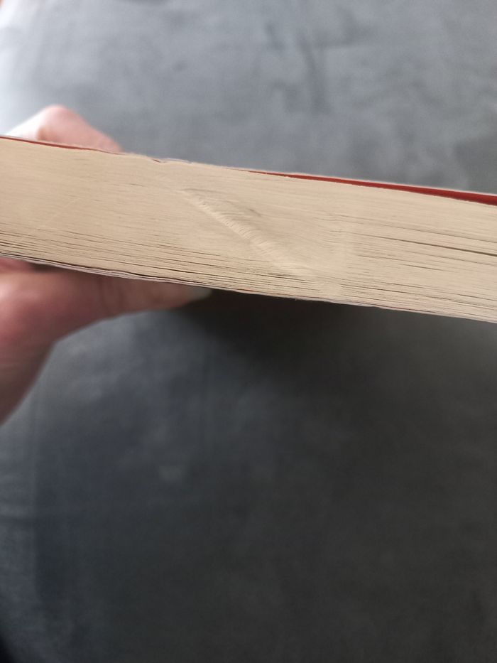 Livre journal d'un dégonflé tome 10 - photo numéro 3