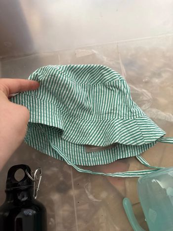 Bonnet