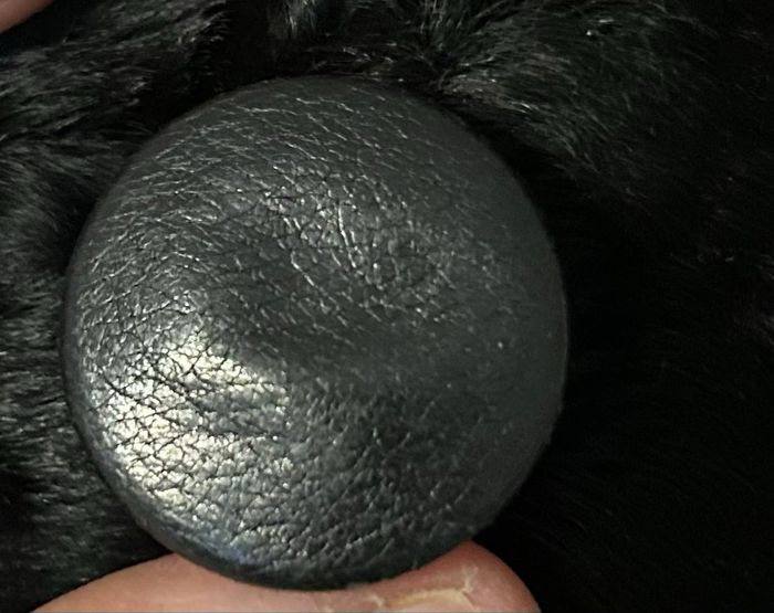 Manteau de fourrure astrakan