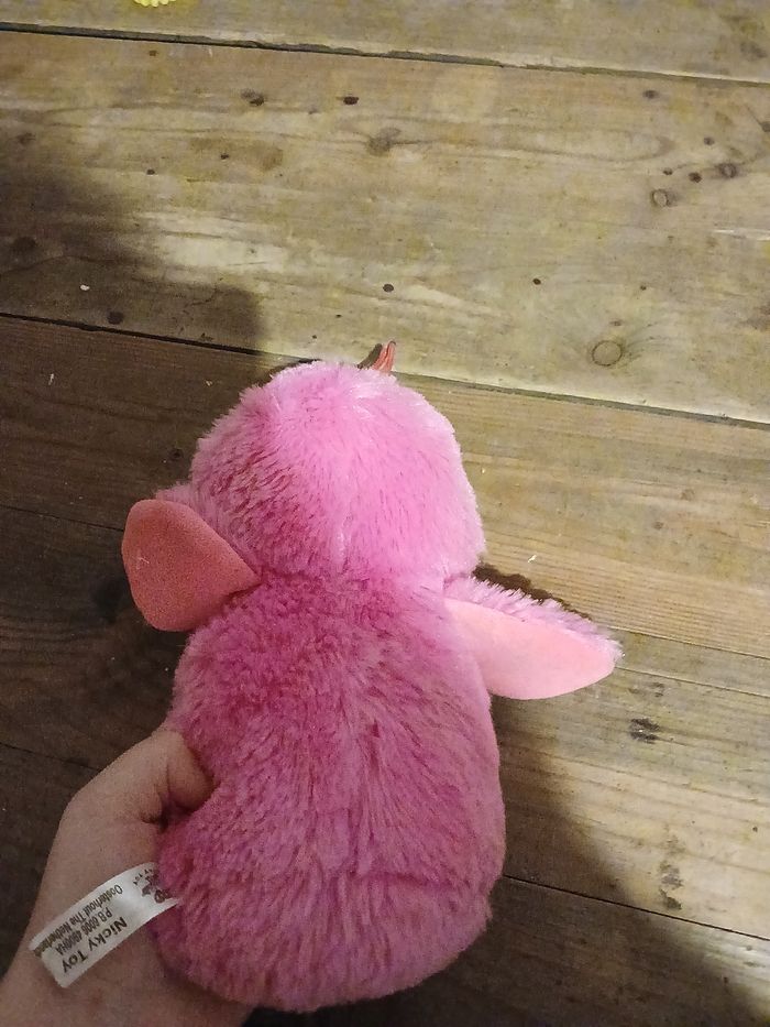 Doudou - photo numéro 2