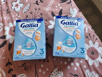 Lot deux boîtes de lait neuf 