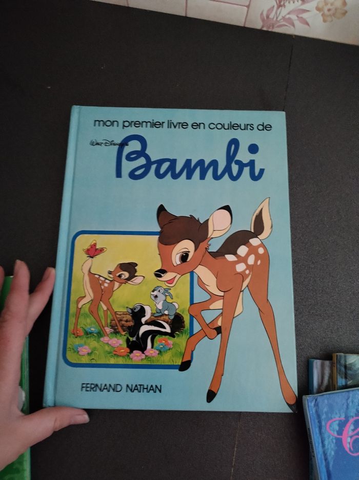 Lot livres disney - photo numéro 9