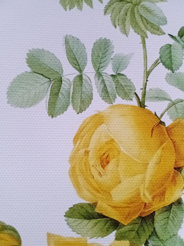 AFFICHE POSTER TOILE INFÉRIEURE A4 FLEURS ROSES - photo numéro 2