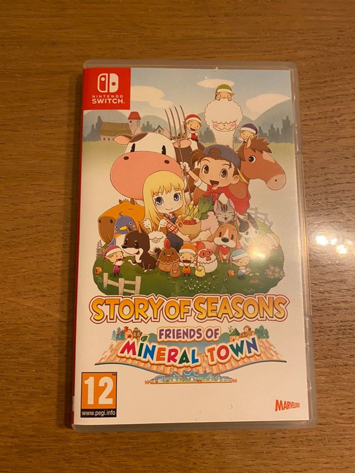 Jeu Nintendo Switch Story Of Seasons