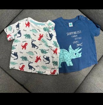 Lot 2 tee-shirts 12mois