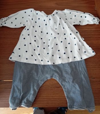 Ensemble Absorba