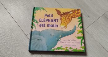 Livre petit éléphant est malin 