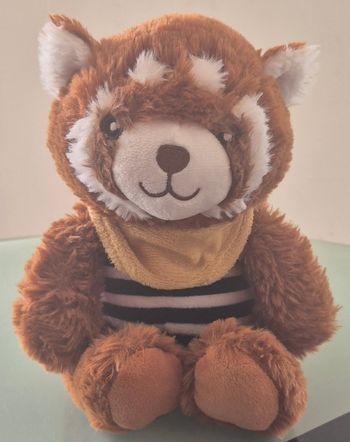 Peluche Raton Laveur Jours Heureux