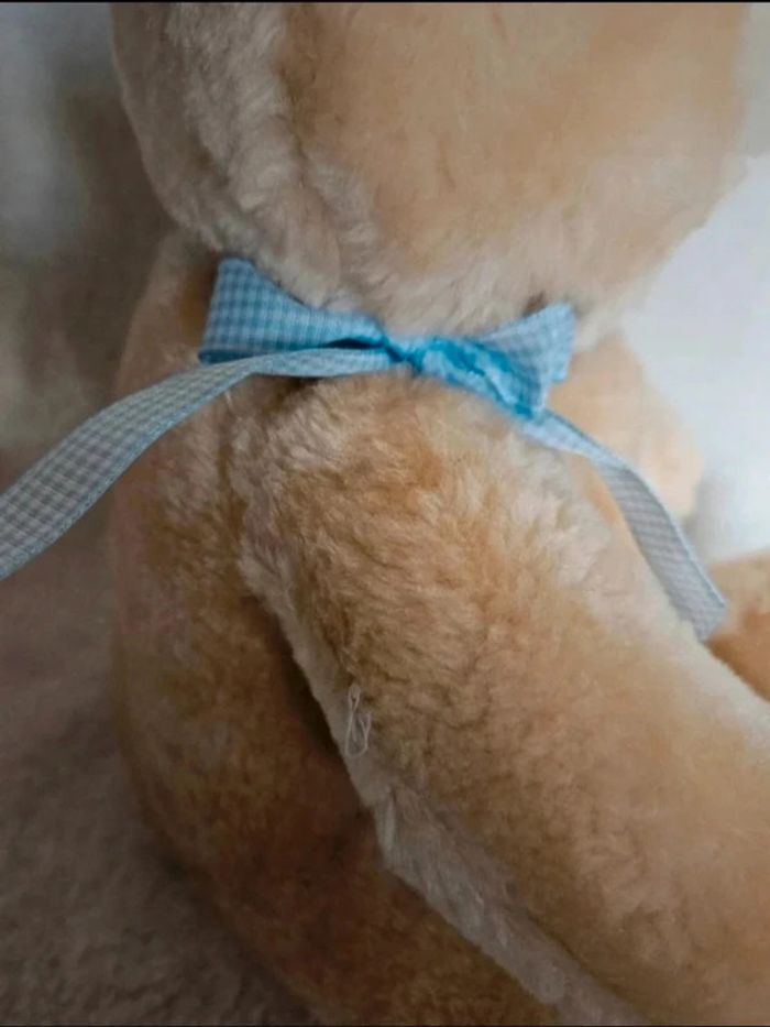 Nounours 🧸 - photo numéro 2