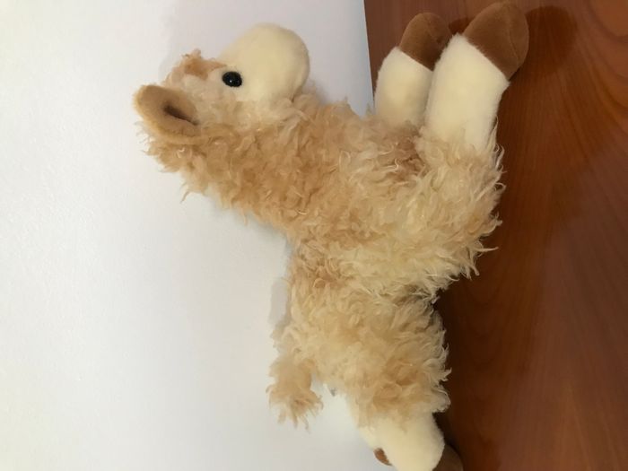 peluche lama cheval aurora