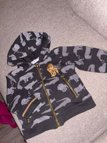 veste 