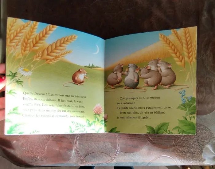 Livre pour enfant - photo numéro 3