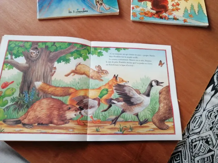 Livre chacun son tour, Franklin ! - photo numéro 2
