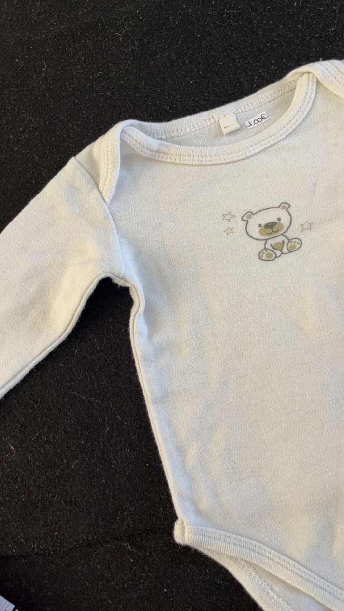 Bodie 3 mois - photo numéro 2