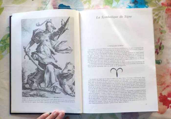 LE GRAND LIVRE DU BELIER par A. WALDSTEIN Ed. Tchou - photo numéro 5