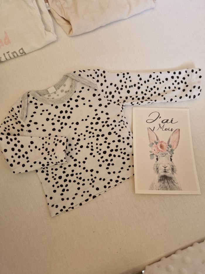 Lot pulls - photo numéro 4