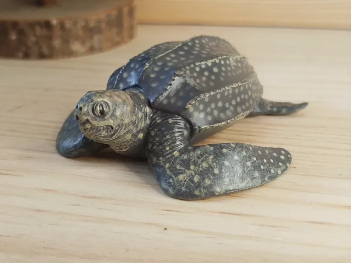 PAPO tortue de mer figurine Animal de la Mer - photo numéro 2