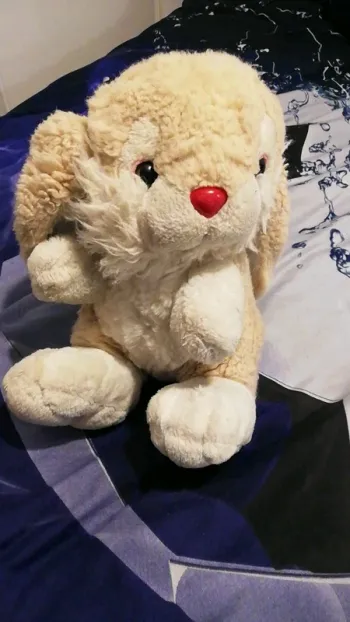 Peluche