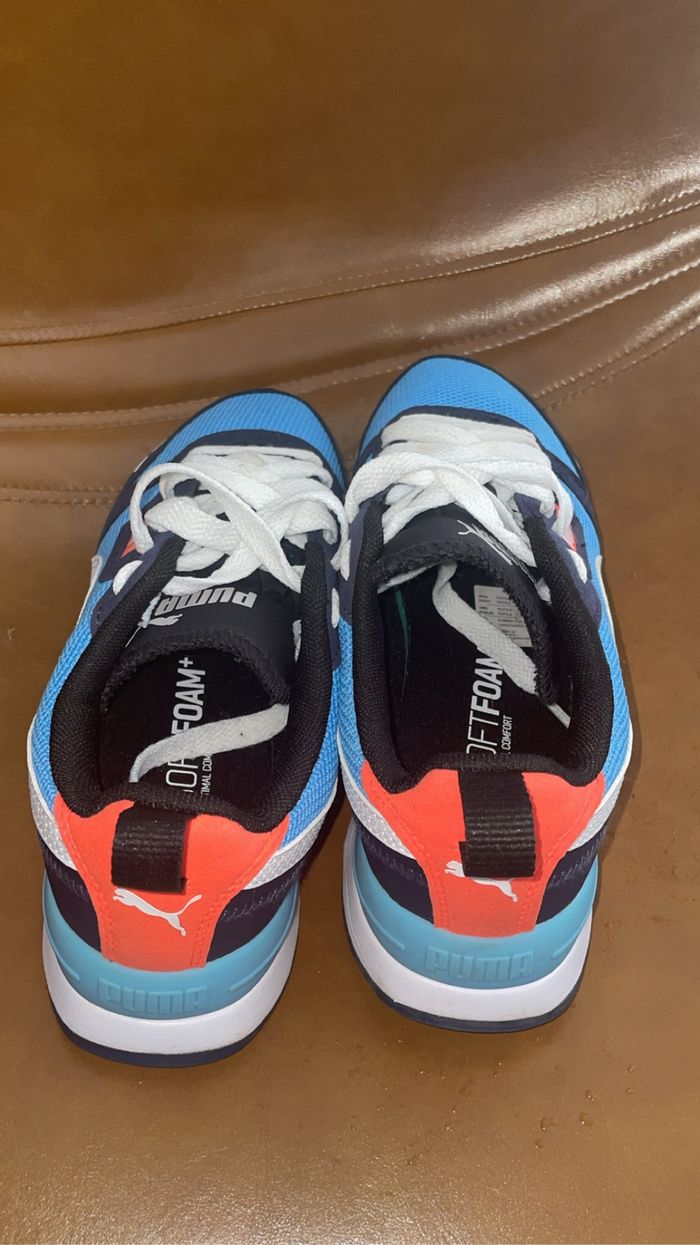 Puma bleu - photo numéro 3