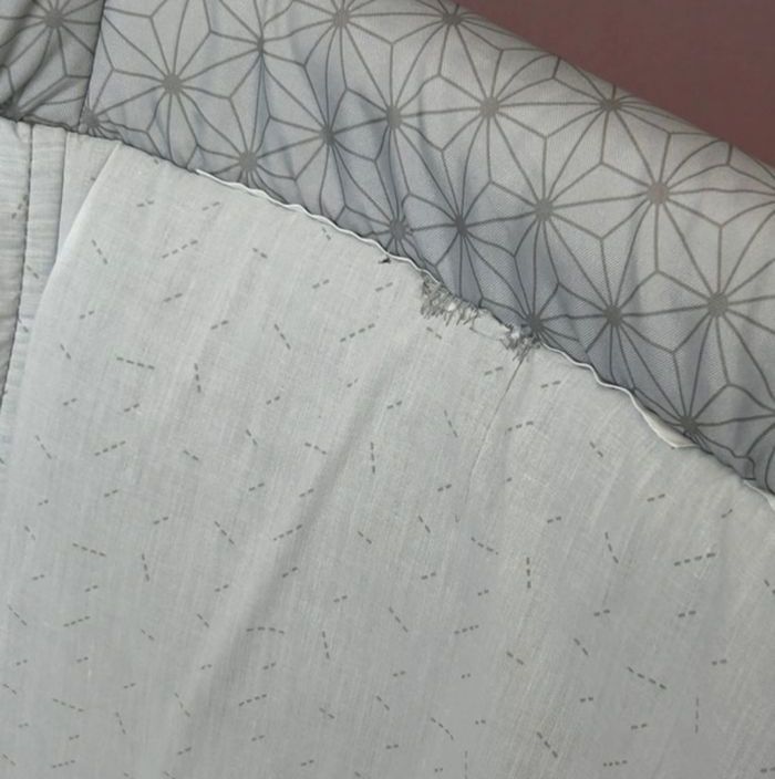 Cododo CHICCO Next2me Dream - photo numéro 5