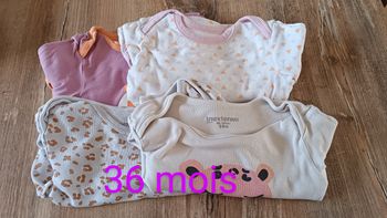 Lot de bodies manches longues bébé fille
