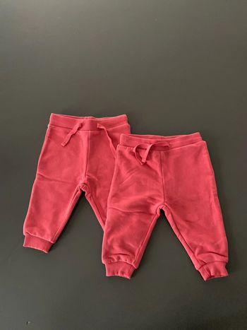 lot de 2 pantalons lupilu 62/68