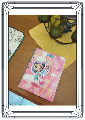 Agenda carnet école 17 x 22 cm fille fée neuf