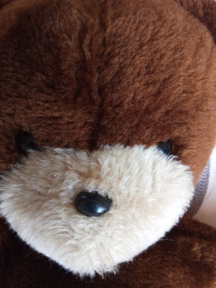 Peluche ours marron foncé / clair  beige   40 cm +/-  vintage ancien bel ours  ourson Boulgom  en posture debout  nez noir dur  yeux noirs en plastique - photo numéro 2