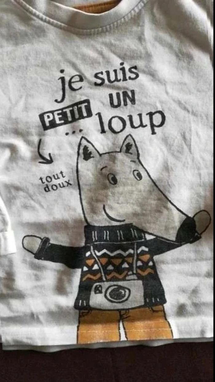 Tee  shirt p'tit loup