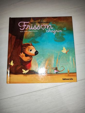 Livre Le petit hérisson frisson chagrin