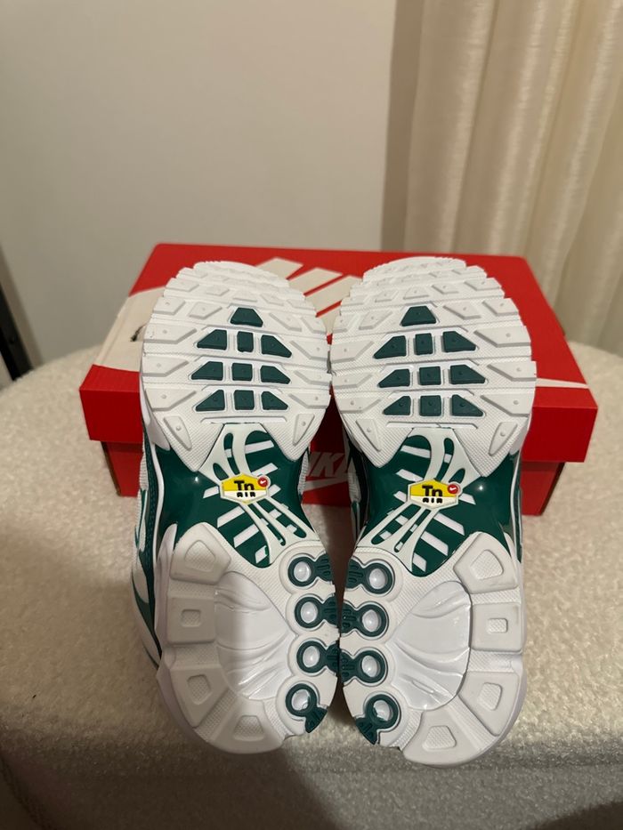 Tn nike Lacoste - photo numéro 6