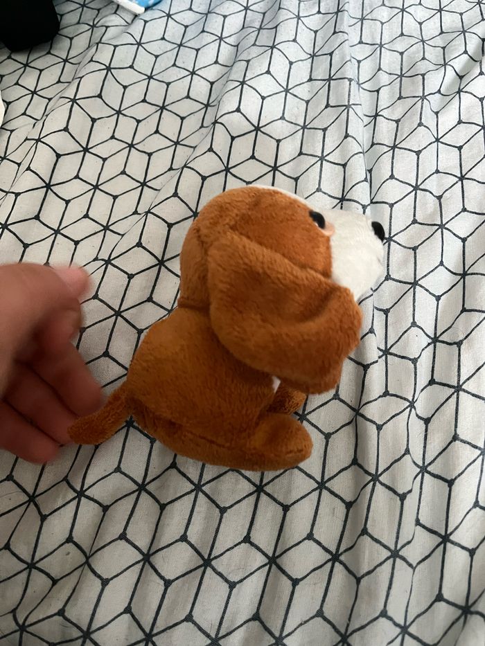 Petit chien - photo numéro 4