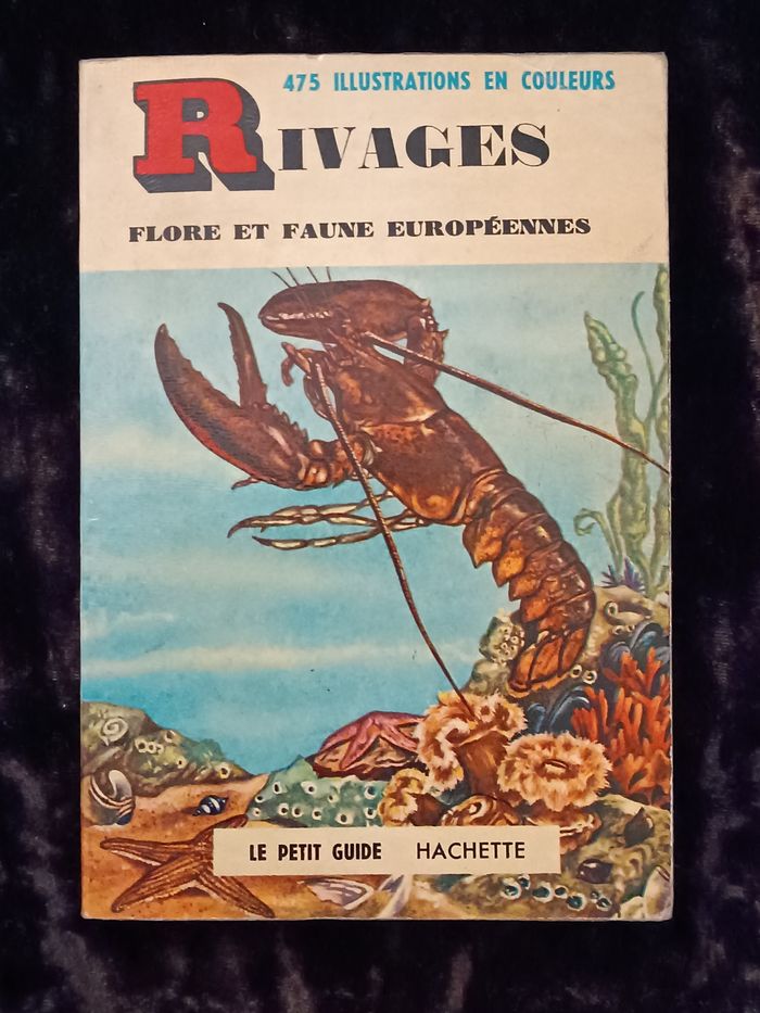 Petit guide flore et faune européennes Hachette