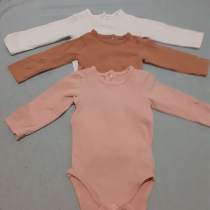 Lot 3 bodies